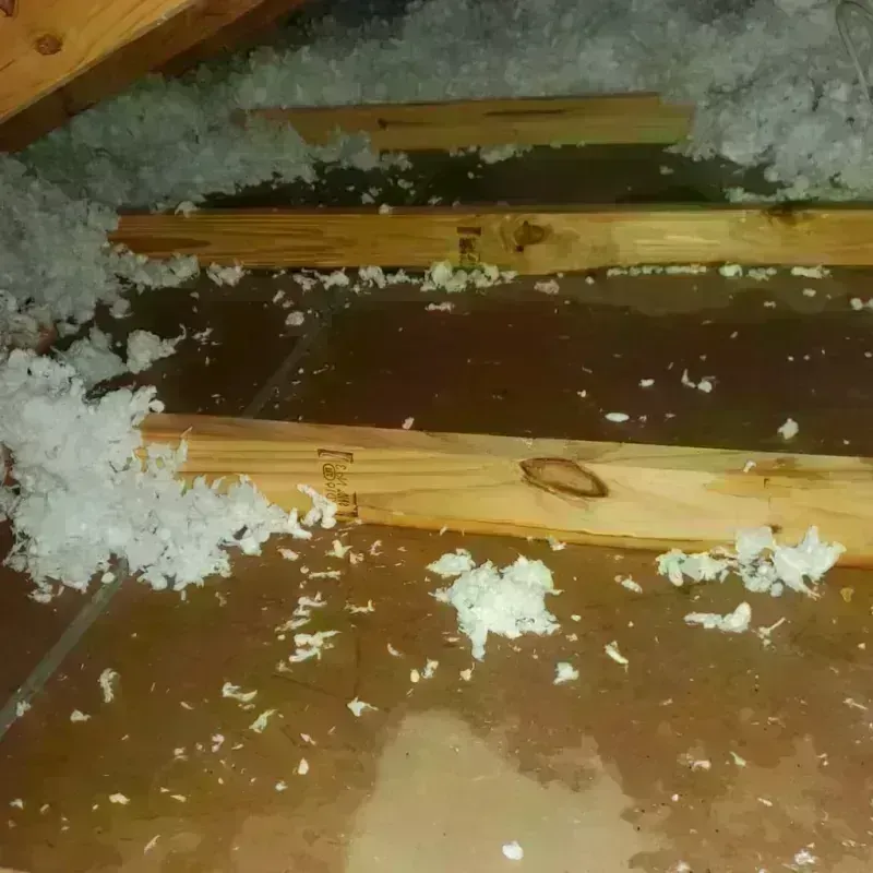 Attic Water Damage in Los Serranos, CA